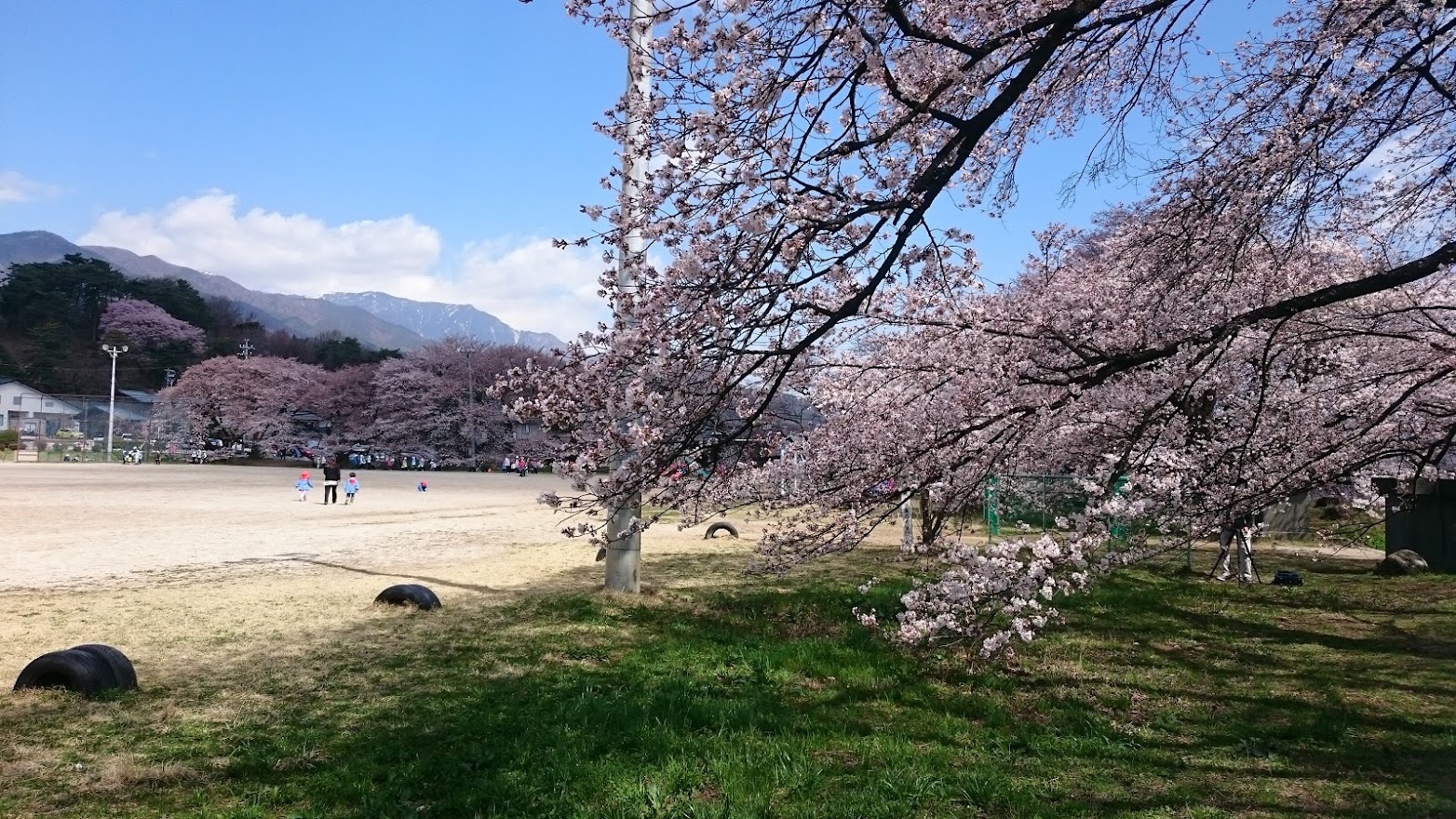 たかもり桜スポット紹介～町内編～高森南小学校 あったかキッズ
