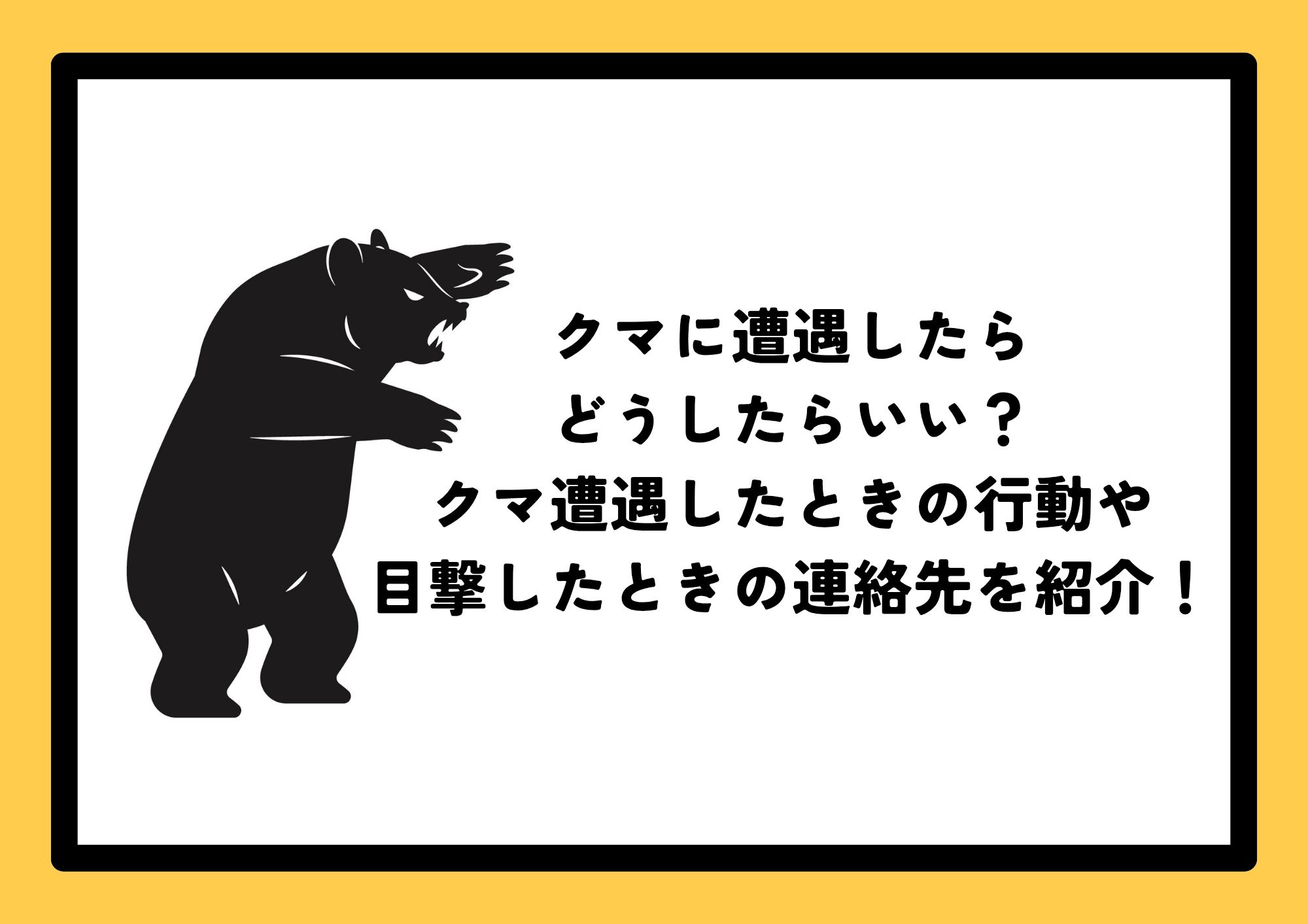 クマに遭遇したらどうしたらいい？クマ遭遇したときの行動や目撃した